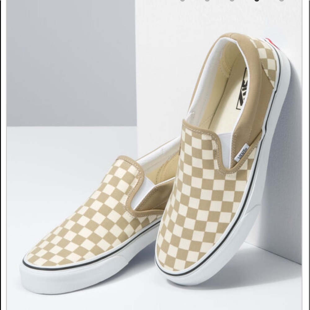 Vans Slip-On Incense & White Shoes